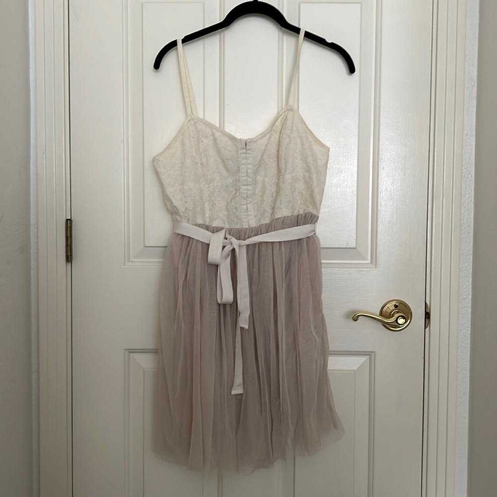 American Eagle Outfitters Ivory Lace Top Blush Tulle Mini Dress